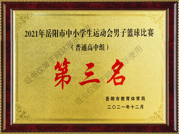 篮球比赛第三名