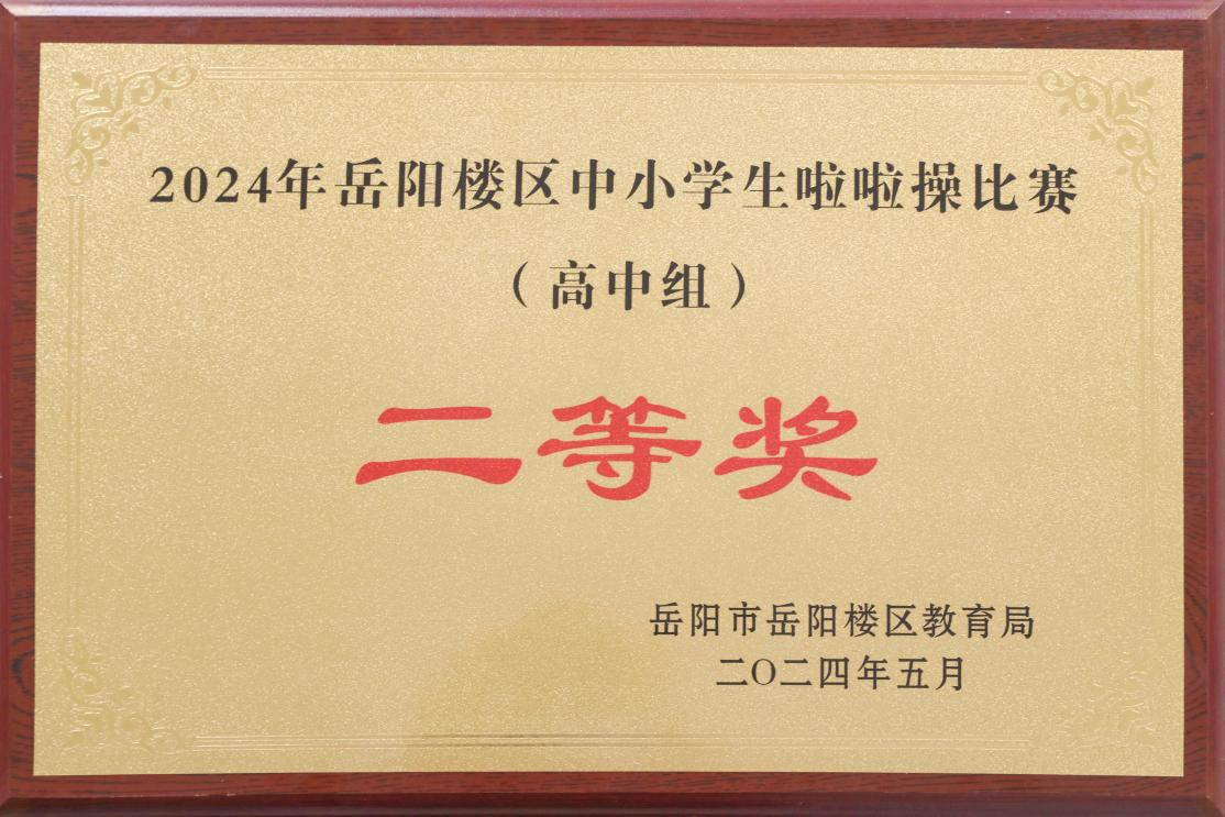 2024年岳阳楼区中小学生啦啦操比赛高中组二等奖
